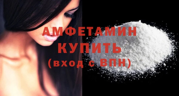 индика Богданович