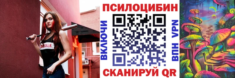 Псилоцибиновые грибы Psilocybine cubensis  закладки  Сковородино 